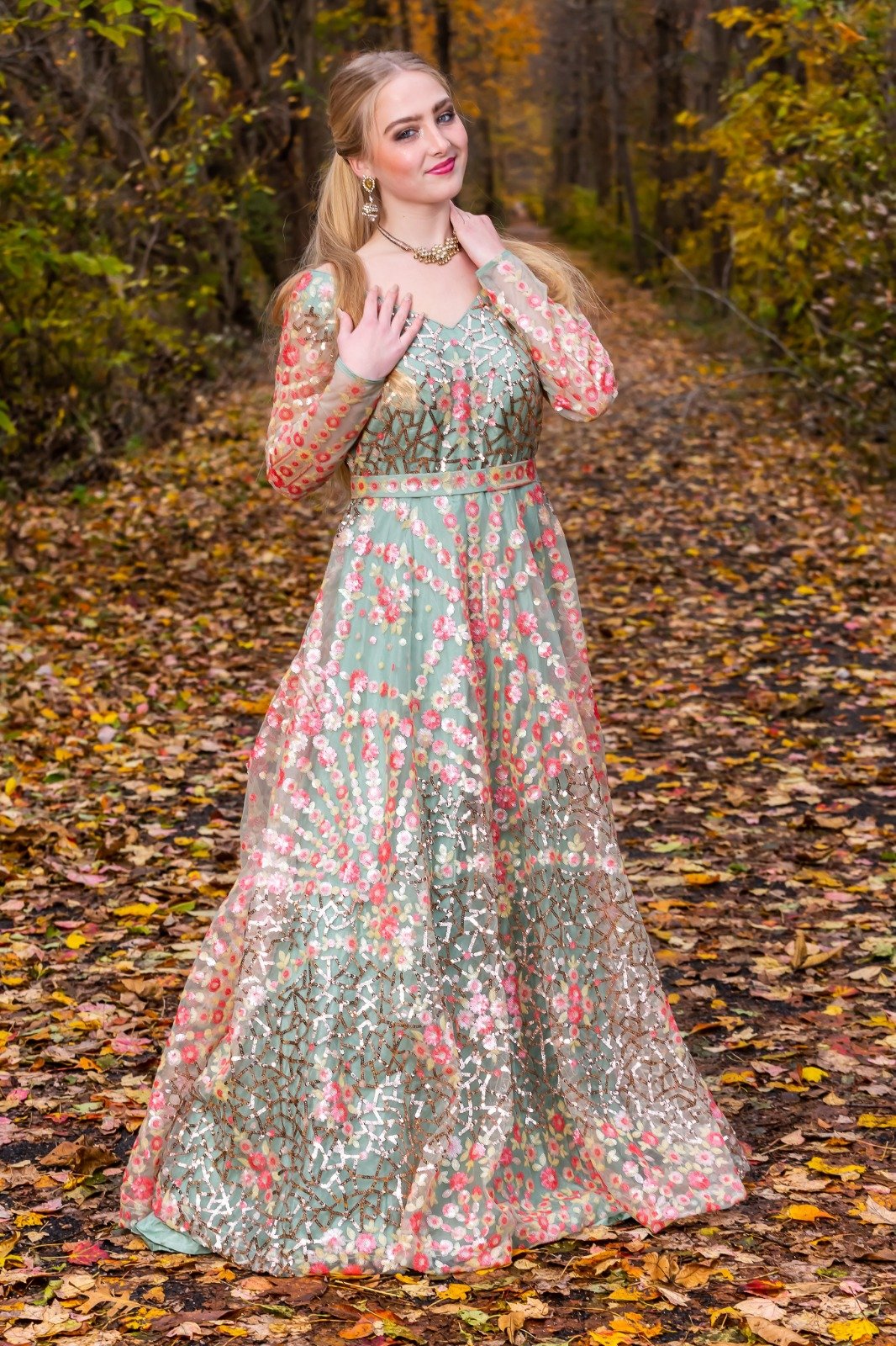 green emerald velvet dress Multi Color Net Embroidered Gown