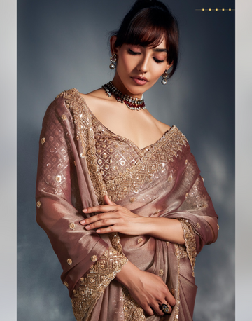 Graceful Brown Pure Tissue Organza Saree with Embellished Border Khatli, Moti & Sequin Work