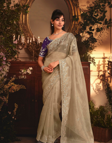 Elegant Beige Organza Saree Intricate Butta Embroidery with Heavy Stone Work Border - Buy