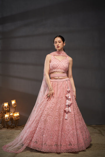 Pink Net Cutdana, Sequins and Zarkan  Lehenga choli & Dupatta - Rent