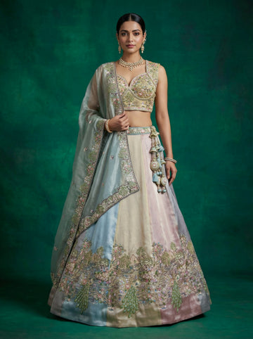 Multi-Color Organza Embroidered Lehenga for Reception - RENT