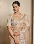 Beige Embroidered Organza Satin Saree with Dual Sequins & Stone Handwork Elegant Tissue Silk Blouse - Buy_1