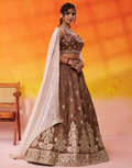 Brown Tissue Lehenga Choli Set with Sequin Embroidered Blouse and Dupatta for Wedding & Festive Wear - Buy_3
