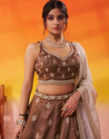 Brown Tissue Lehenga Choli Set with Sequin Embroidered Blouse and Dupatta for Wedding & Festive Wear - Buy_4