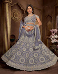 Dark Grey Net Pearl Embroidery Lehenga Choli & Dupatta