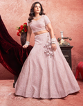 Delicate Charm Baby Pink Premium Net Lehenga with Traditional Zarkan Embroidery - Buy.