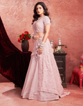 Delicate Charm Baby Pink Premium Net Lehenga with Traditional Zarkan Embroidery - Buy._1