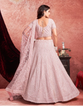 Delicate Charm Baby Pink Premium Net Lehenga with Traditional Zarkan Embroidery - Buy._2