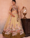 Dreamy Ombre Brown Net Sequins Lehenga Choli with Elegant Dupatta
