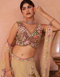 Dreamy Ombre Brown Net Sequins Lehenga Choli with Elegant Dupatta
_1