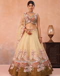 Dreamy Ombre Brown Net Sequins Lehenga Choli with Elegant Dupatta
_5