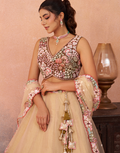 Dreamy Ombre Brown Net Sequins Lehenga Choli with Elegant Dupatta
_8