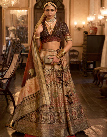 Grace in Every Thread Brown Golden Silk Lehenga Choli with Sparkling Aari Mirror Embellishments