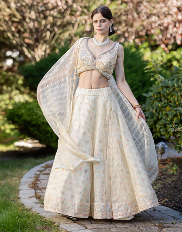 Graceful Cream Net Lehenga Set with Embellished Blouse and Dupatta