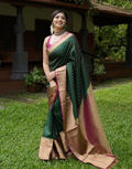 Graceful Green Saree with Intricate Jacquard Work & Designer Pallu Perfect for Celebrations