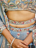 Grey Tissue Fabric with Sequinse & Thread embroidery Lehenga choli & Dupatta_3