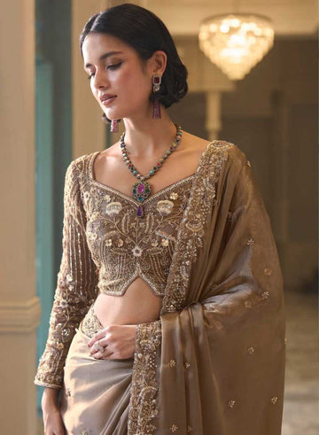Light Brown Designer Embroidered Saree for Partywear - RENT