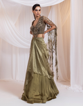 Olive Pre-Draped Saree with Metallic Embroidered Blouse _2