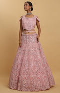 Pink Net Embroidered Mirror Drshti Embroidered Lehenga Set - Rent