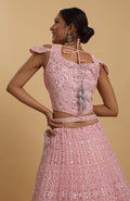 Pink Net Embroidered Mirror Drshti Embroidered Lehenga Set - Rent_1