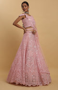 Pink Net Embroidered Mirror Drshti Embroidered Lehenga Set - Rent_5