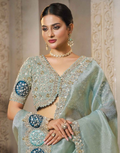 Premium Sea Green Organza Tissue Silk Saree with Sequins, Stone Embroidery & Satin Silk Blouse - Buy_1