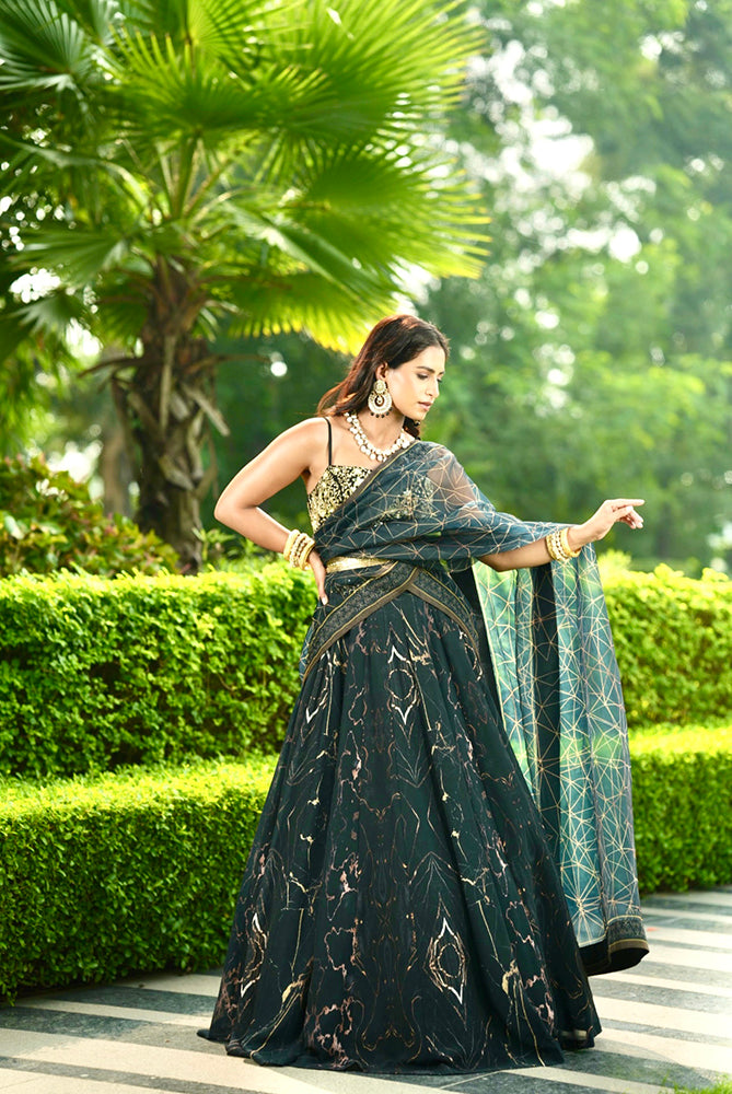 Rashika Sharma's black printed georgette MEESHA Lehenga with hand embroidred Chiffon Blouse - Rent