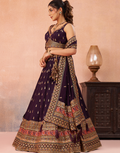 Regal Chinnon Silk Lehenga with Sparkling Sequins & Traditional Zari Work_12