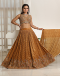 Rich Brown Sequin Embroidered Lehenga Set Blouse & Dupatta Included