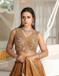 Rich Brown Sequin Embroidered Lehenga Set Blouse & Dupatta Included_1