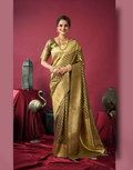 Shimmering Self-Woven Tissue Silk Saree and Blouse Set with Tassel Border Timeless Ethnic Charm - Buy_2