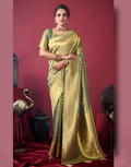 Shimmering Self-Woven Tissue Silk Saree and Blouse Set with Tassel Border Timeless Ethnic Charm - Buy_8