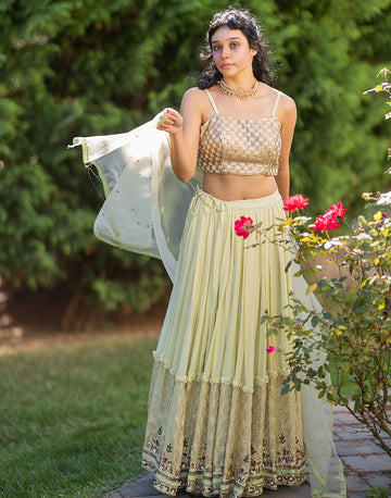 Stunning Cream Net Lehenga Set with Embellished Applique Work Blouse & Dupatta