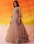 Traditional Bridal Net Lehenga Choli with Heavy Sequins Work and Dupatta - Buy_2