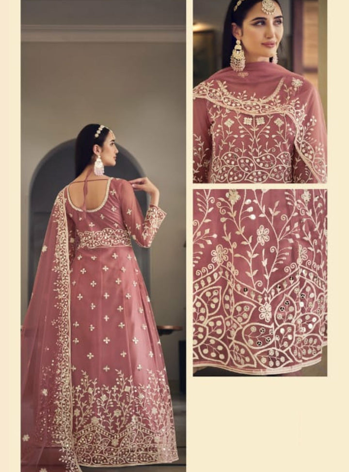 Beautiful pink butterfly net embroidered anarkali - rent