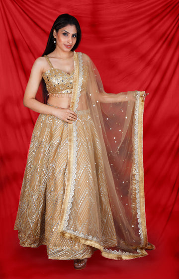 Golden Colored Sequins Work Lehenga Set - Rent