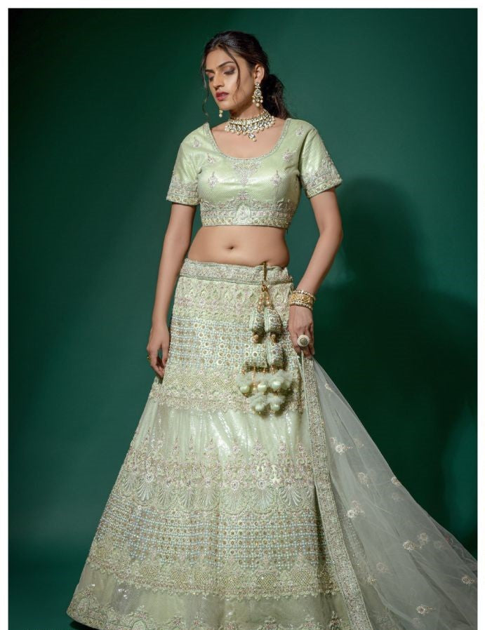 Parvati Light Green Soft Net Embroidery Lehenga - Rent