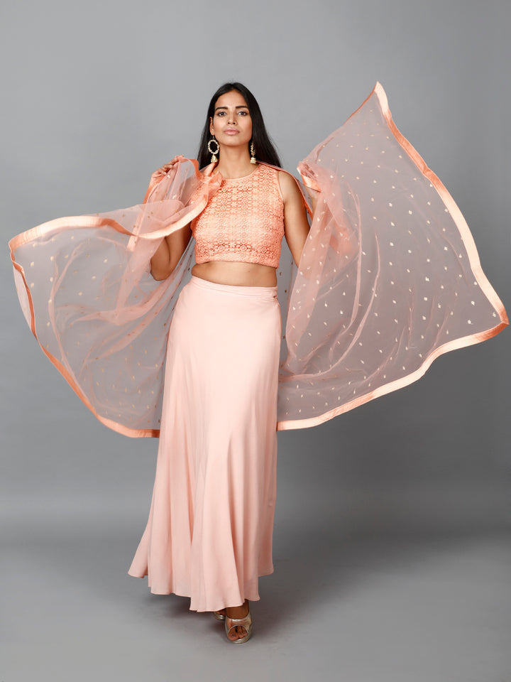 Miracolos By Ruchi's Elegant Peach Colored Crop top & Flare Skirt - Rent