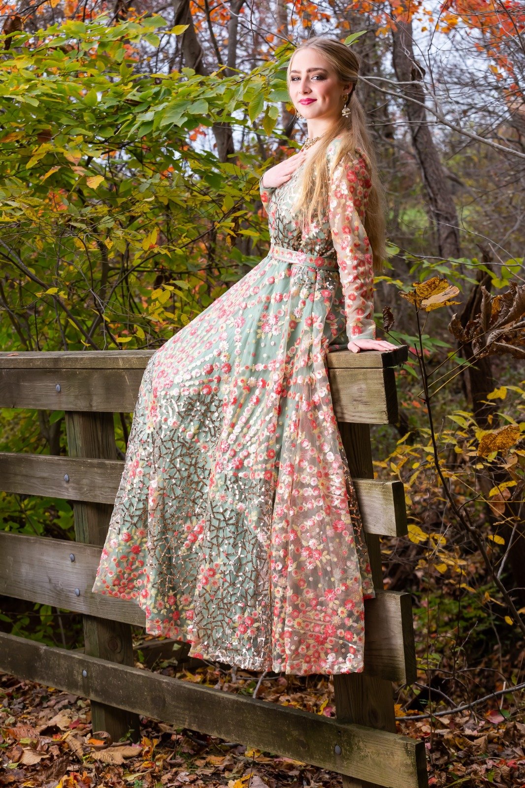 Multi Color Net Embroidered Gown - Rent Multi Color Net Embroidered Gown - Rent