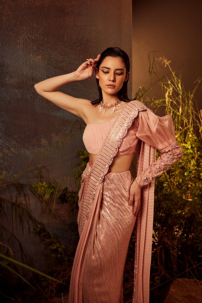 Dheeru Taneja's Pink Emboidered Structured Sleeves Saree - Rent