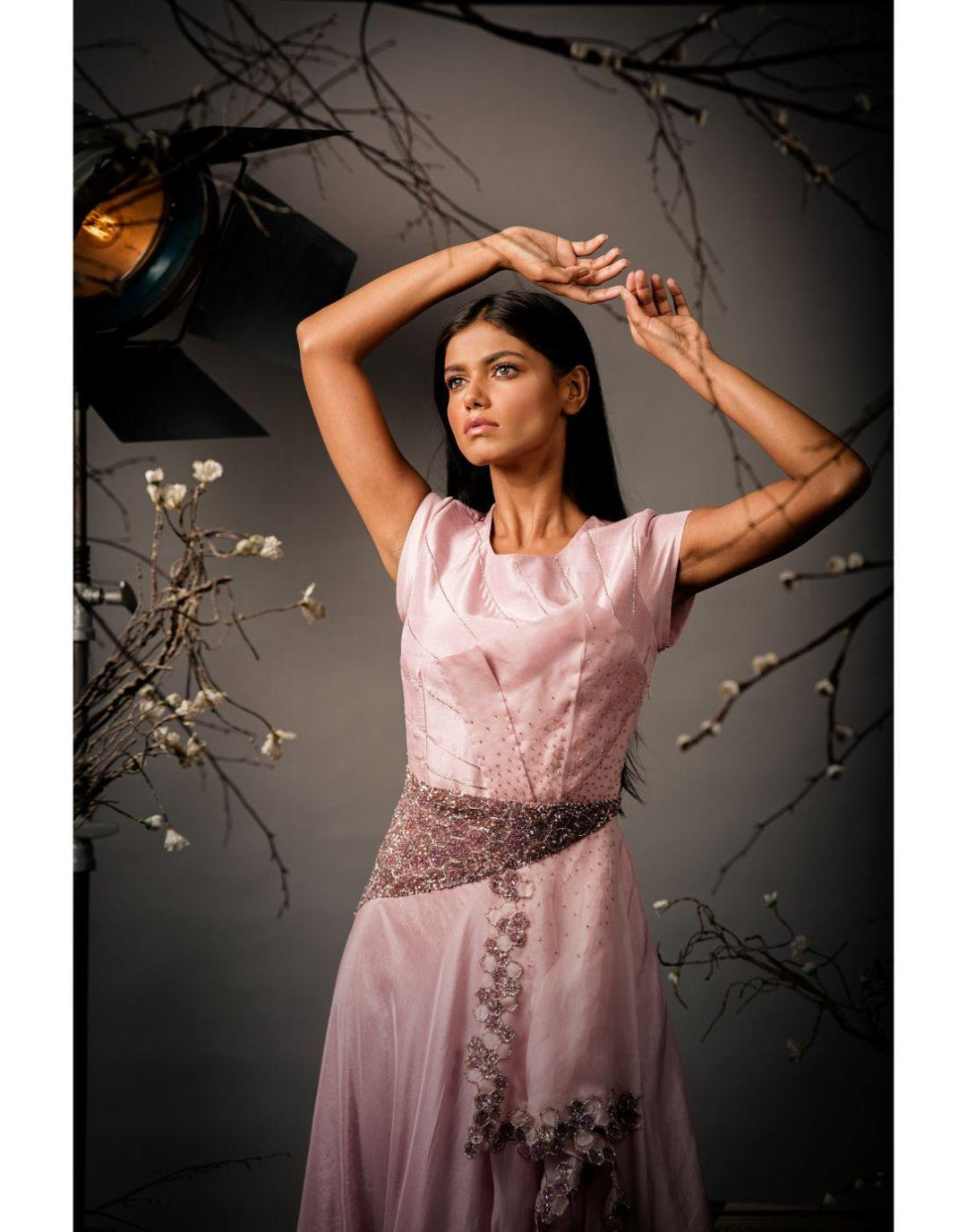 Rent Honeycome Gowns Organza Fabric Sequin Work-Women-Glamourental