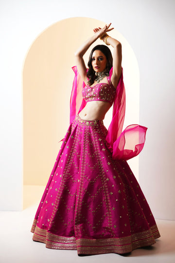 Rashika Sharma's Hot Pink embroidered Lehenga Set - Rent