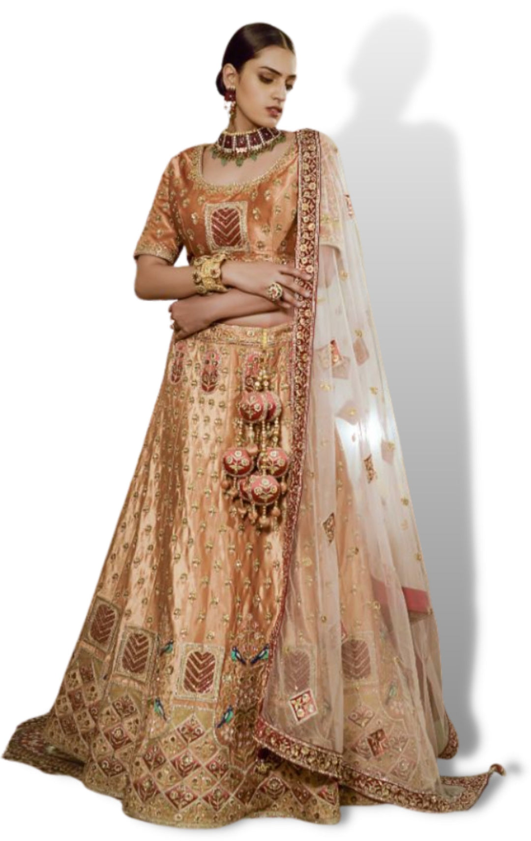 Alluring Brown Embroidered Bridal Lehenga - Rent