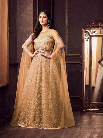 Elegant Golden Net Partywear Gown - Rent