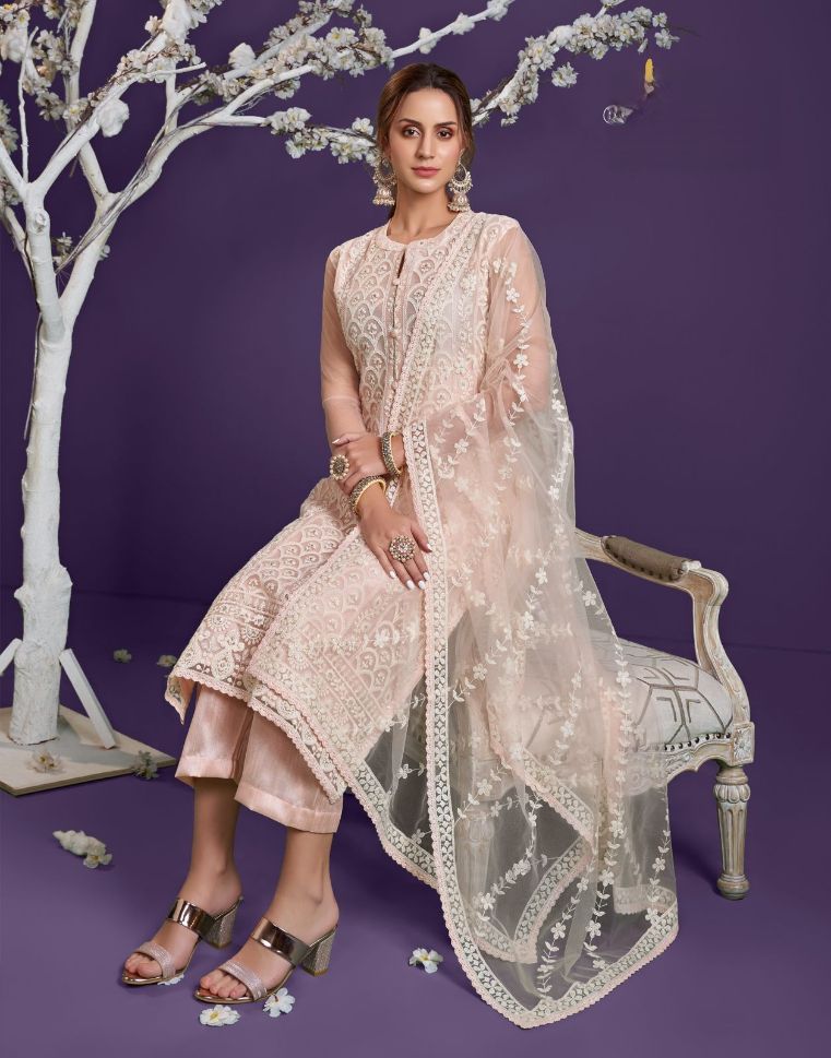 Peach Lucknowi Work Net Straight Salwar Suit - Rent